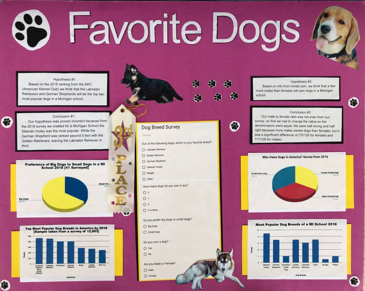 Example poster: "Favorite Dogs"